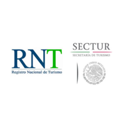 nosotros logo icon 1