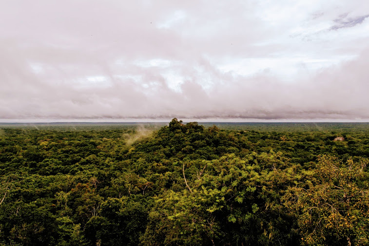 Calakmul