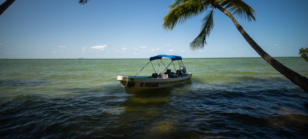 J7 PUNTA ALLEN 05723 2 scaled