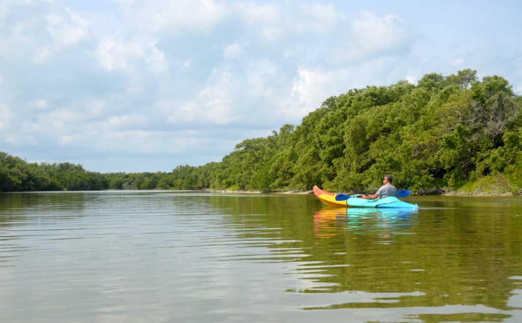 Kayac Holbox 4