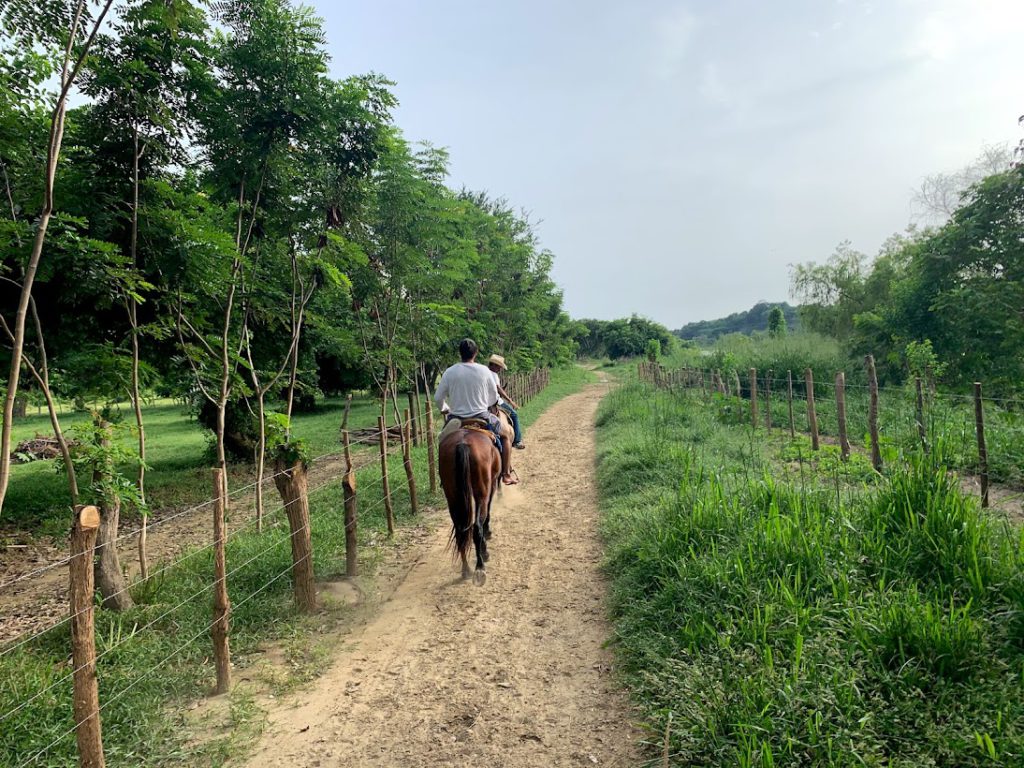 Riding tour