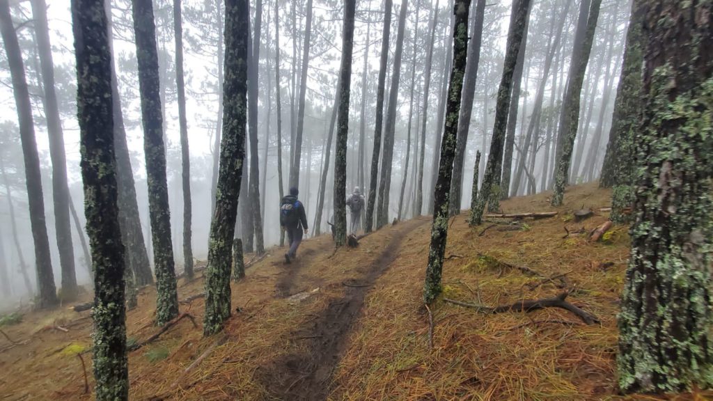 ixtepeji cloud forest