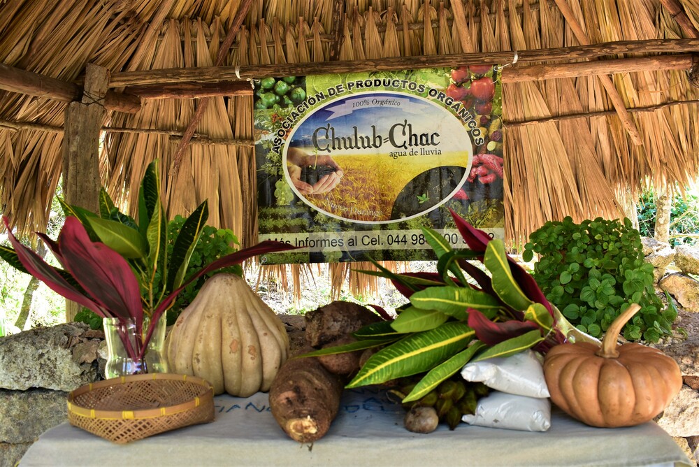 large Chulub Chac