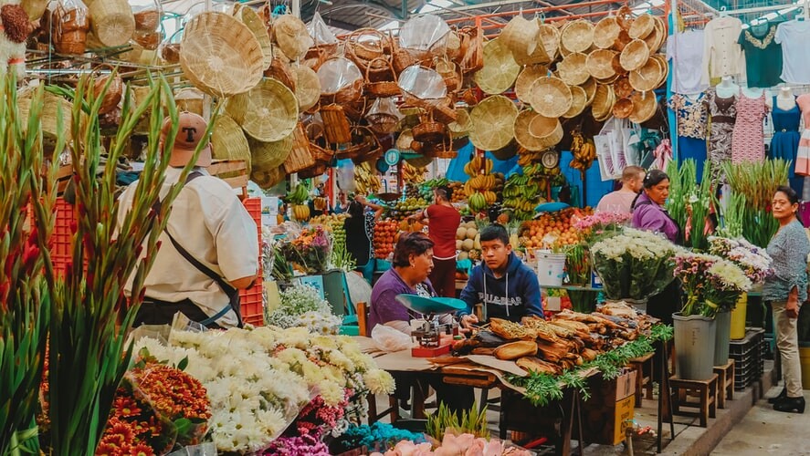 large Gastronomic tour oaxaca
