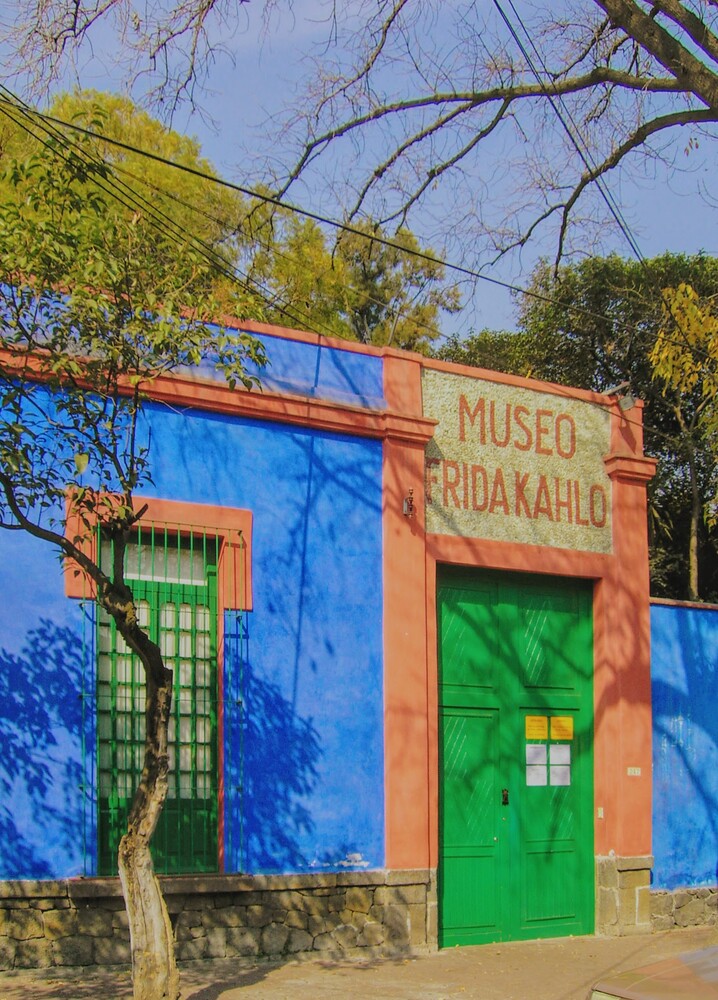 large Visit Museum Frida Kahlo3