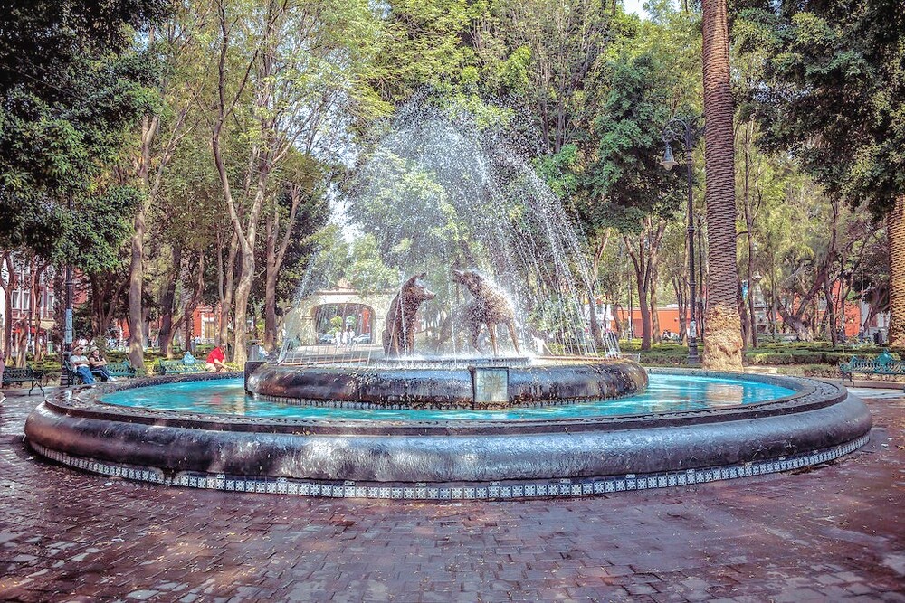 large coyoacán3