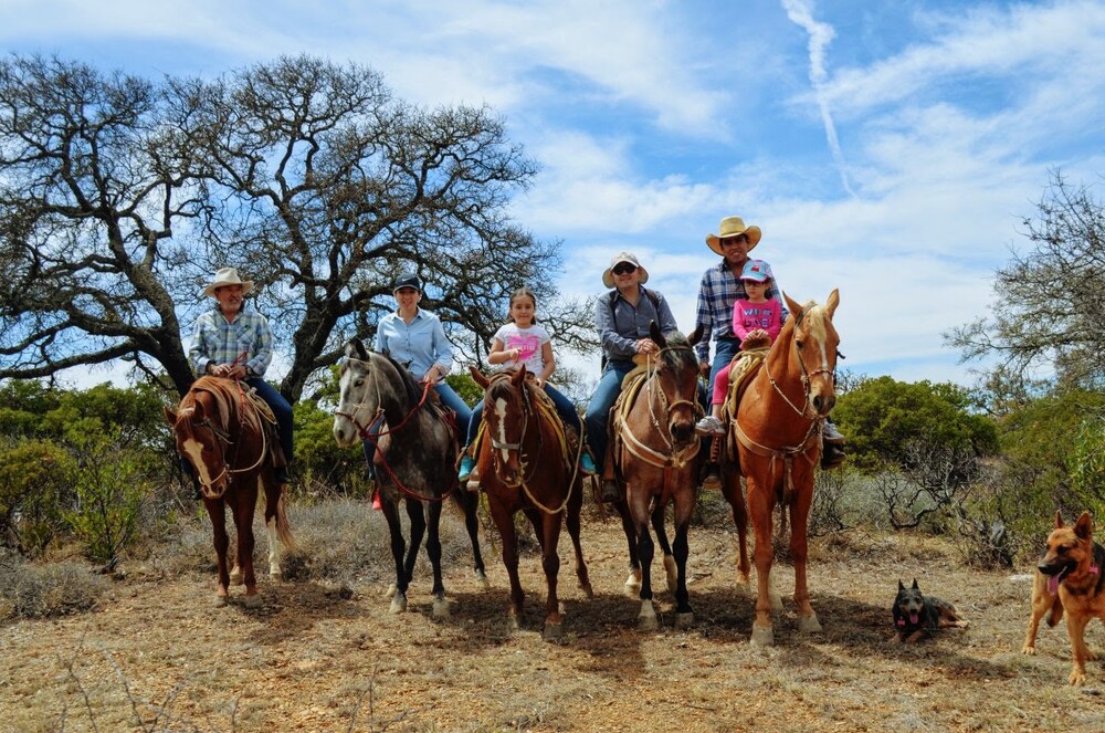 large horse riding family
