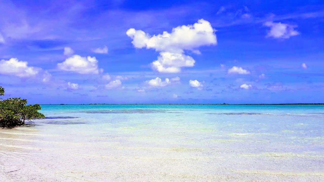 Robinson PuntaAllen8