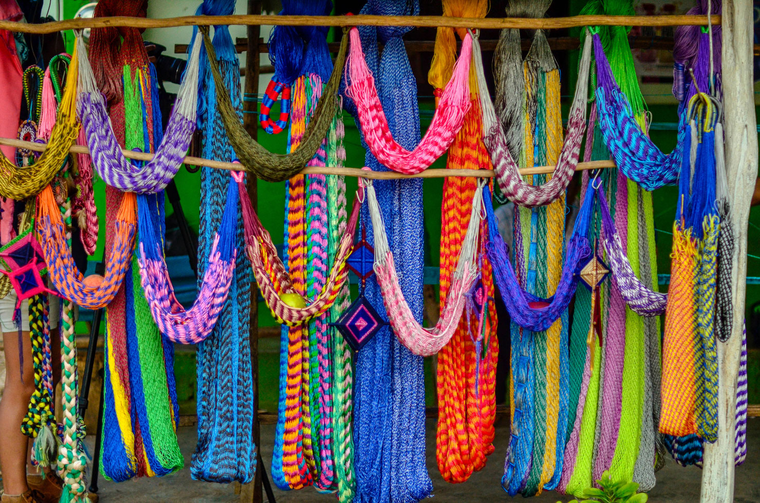 The mayan hammocks