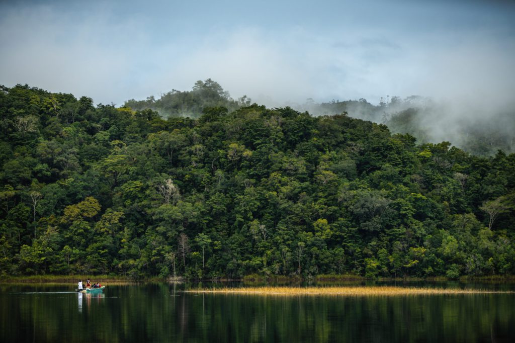 lacandon-jungle-mexico