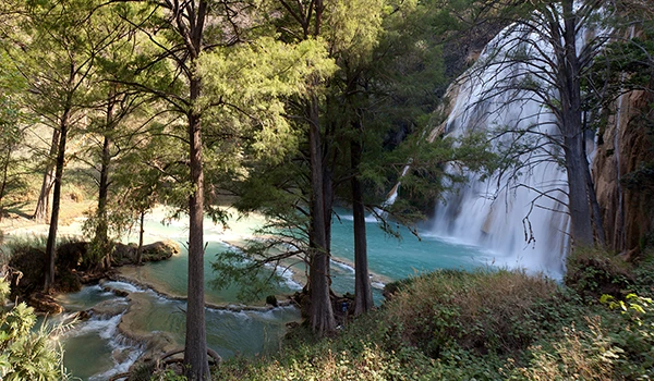 Culture trip in Chiapas