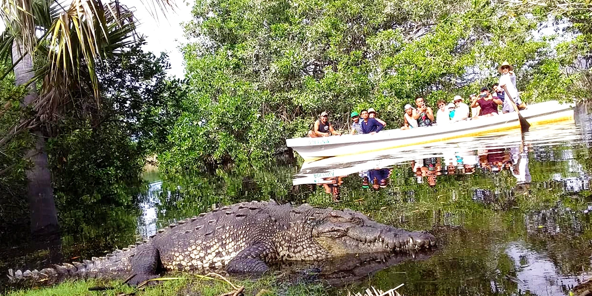 Cabo Catoche boat ride ecosystem rutopia2