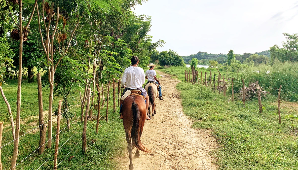 Horseback riding on the beach