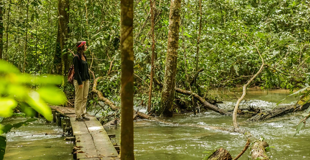 Mayan jungle of Chunhuhub