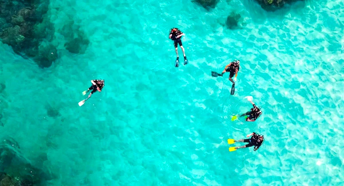 Diving in Cozumel