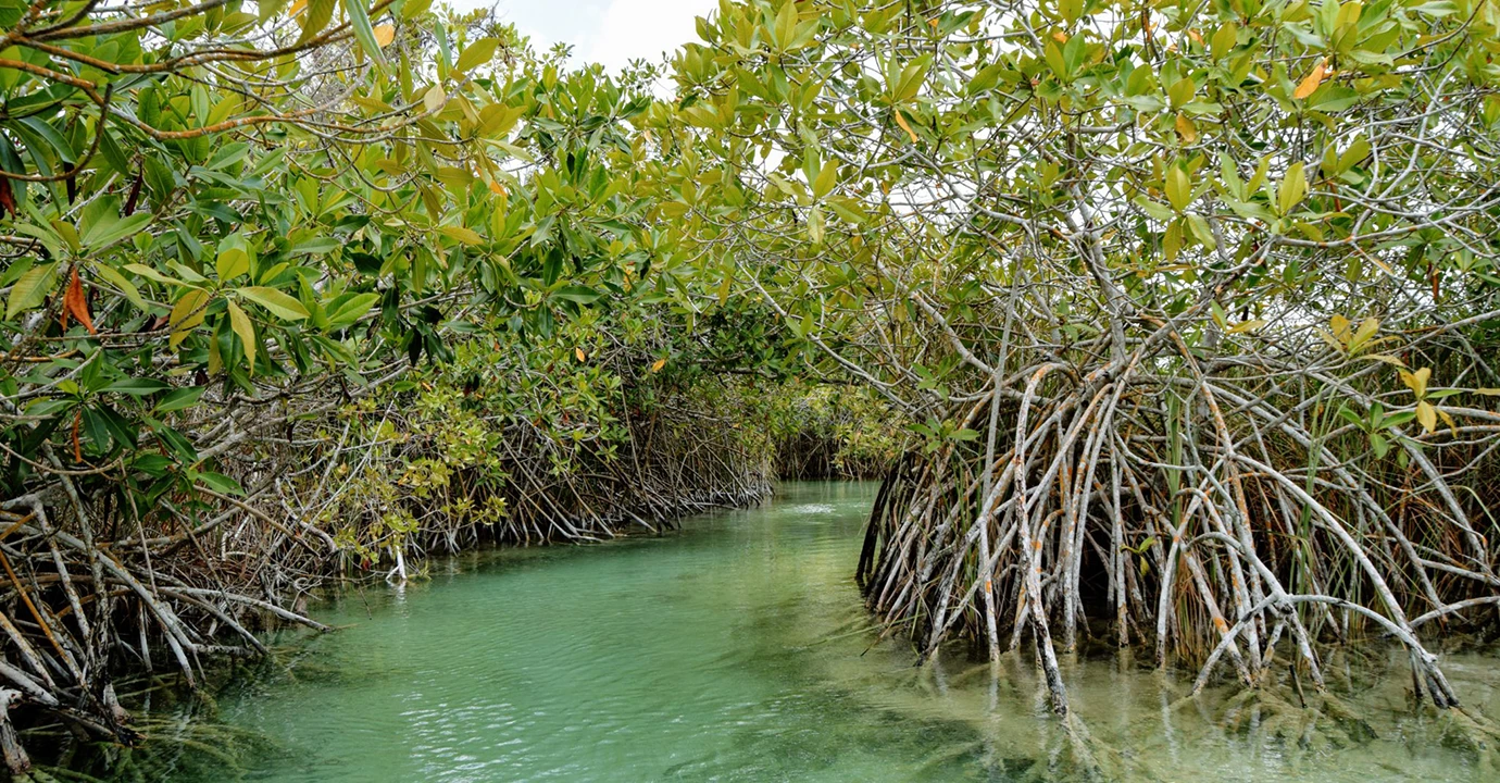 sian floating canal in Mexico